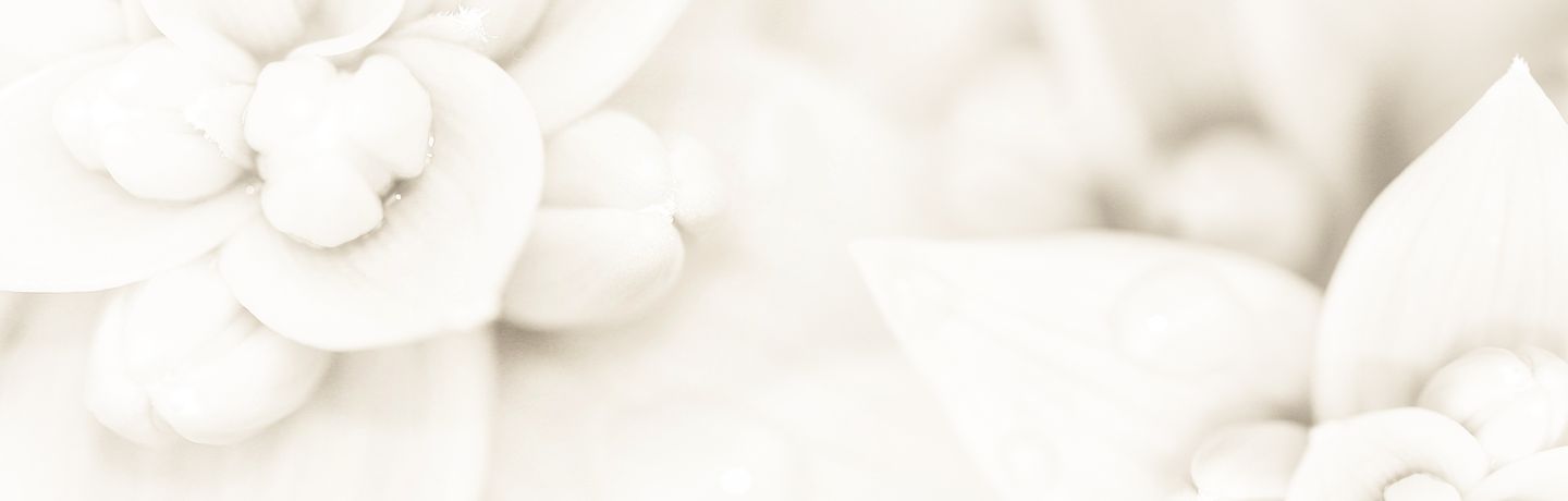 Zamor Mental Health Services PLLC